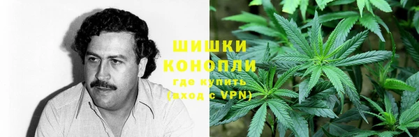 ешки Бородино