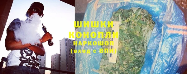 ешки Бородино