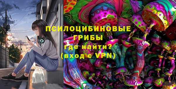 ешки Бородино