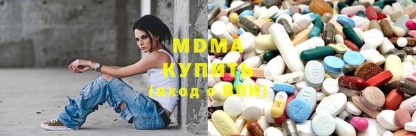 ешки Бородино
