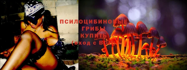 гидропоника Бугульма