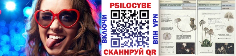 купить наркотики цена  Медногорск  Псилоцибиновые грибы мицелий 