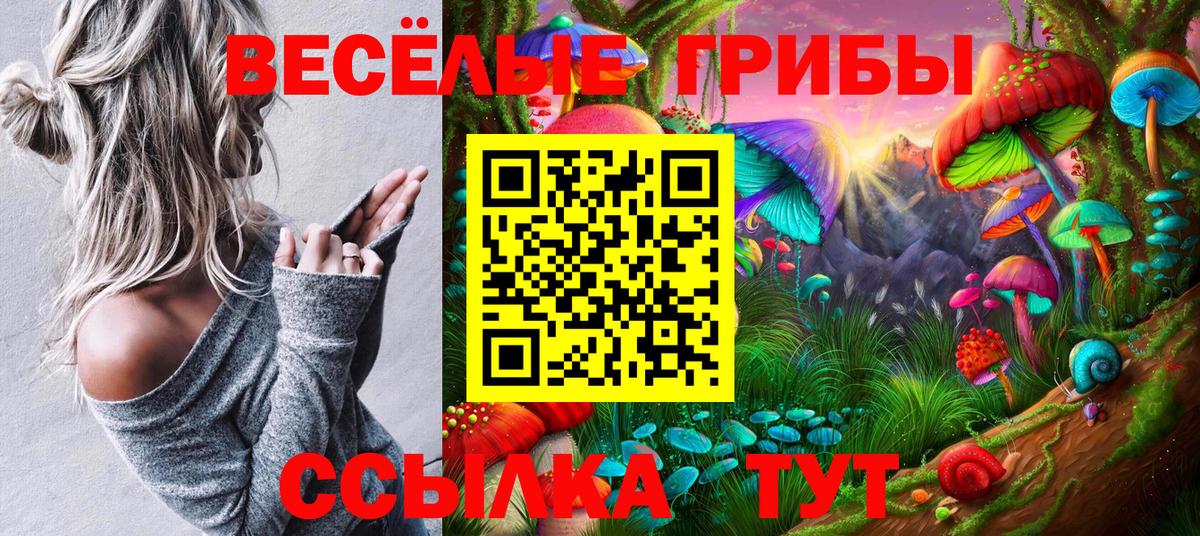 Медногорск  Галлюциногенные грибы прущие грибы  Вход с VPN 